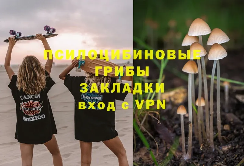 Галлюциногенные грибы MAGIC MUSHROOMS  Шлиссельбург 